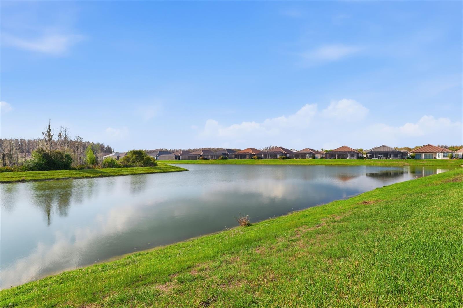 4533 ISONZO WAY, WESLEY CHAPEL, FL, 33543