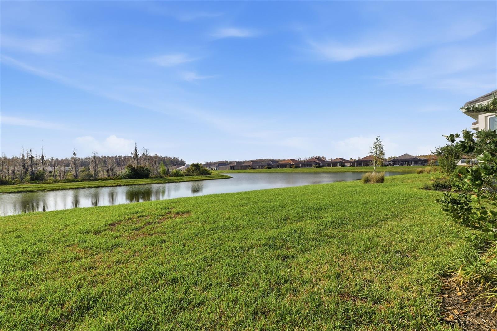 4533 ISONZO WAY, WESLEY CHAPEL, FL, 33543