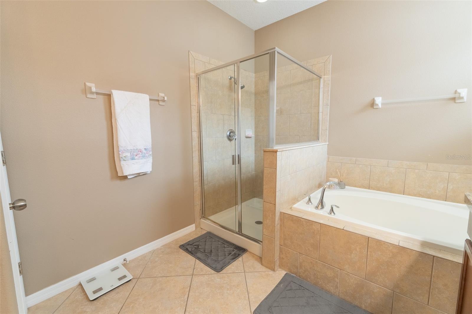 2230 ROMANUM DR, WINTER GARDEN, FL, 34787
