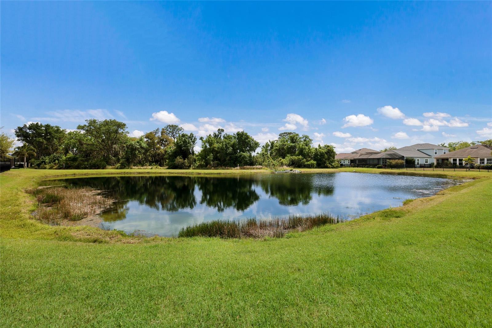 11826 BROOKSIDE DR, BRADENTON, FL, 34211
