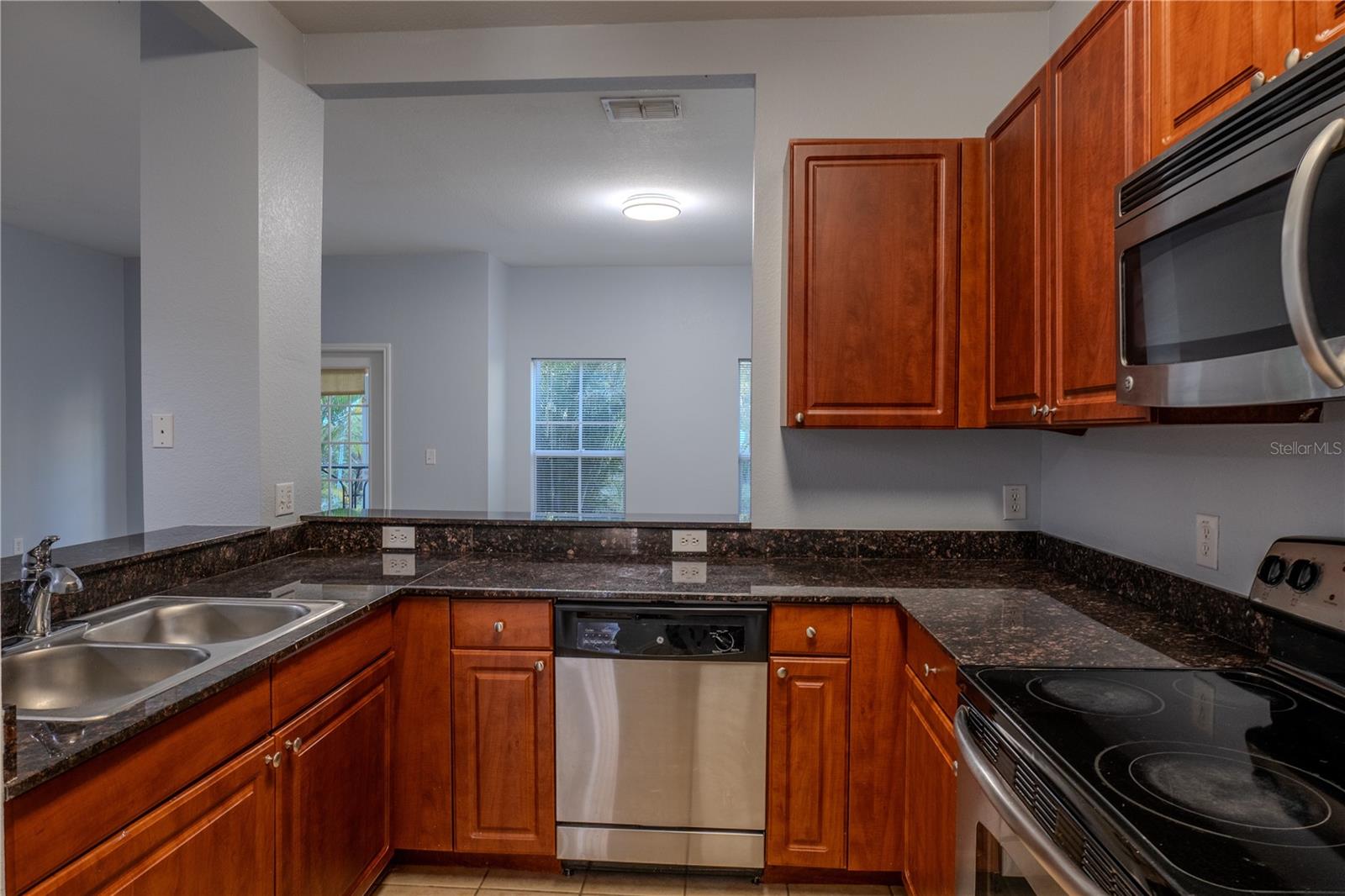 8208 DOWNPATRICK CT, TAMPA, FL, 33610