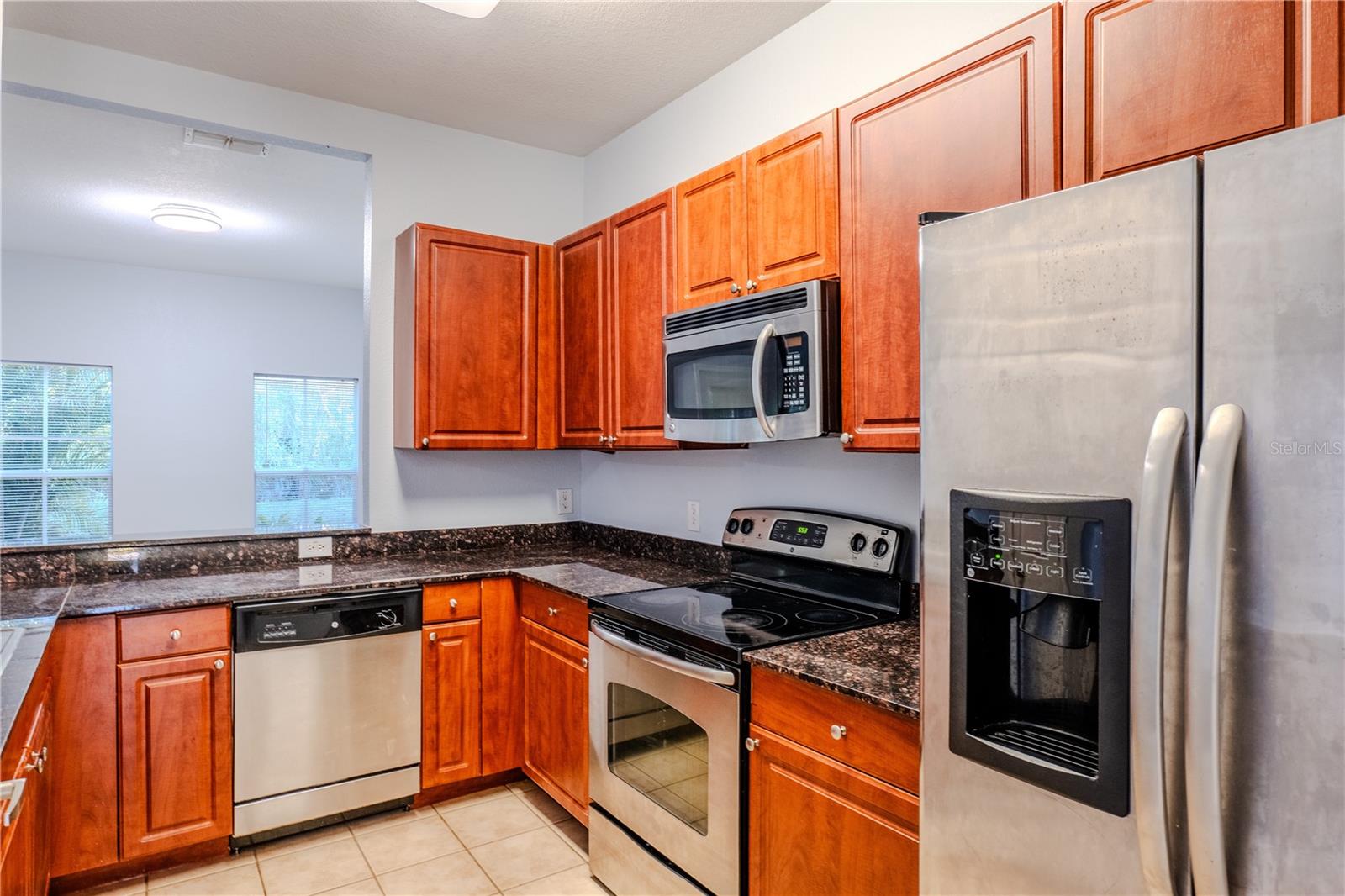 8208 DOWNPATRICK CT, TAMPA, FL, 33610