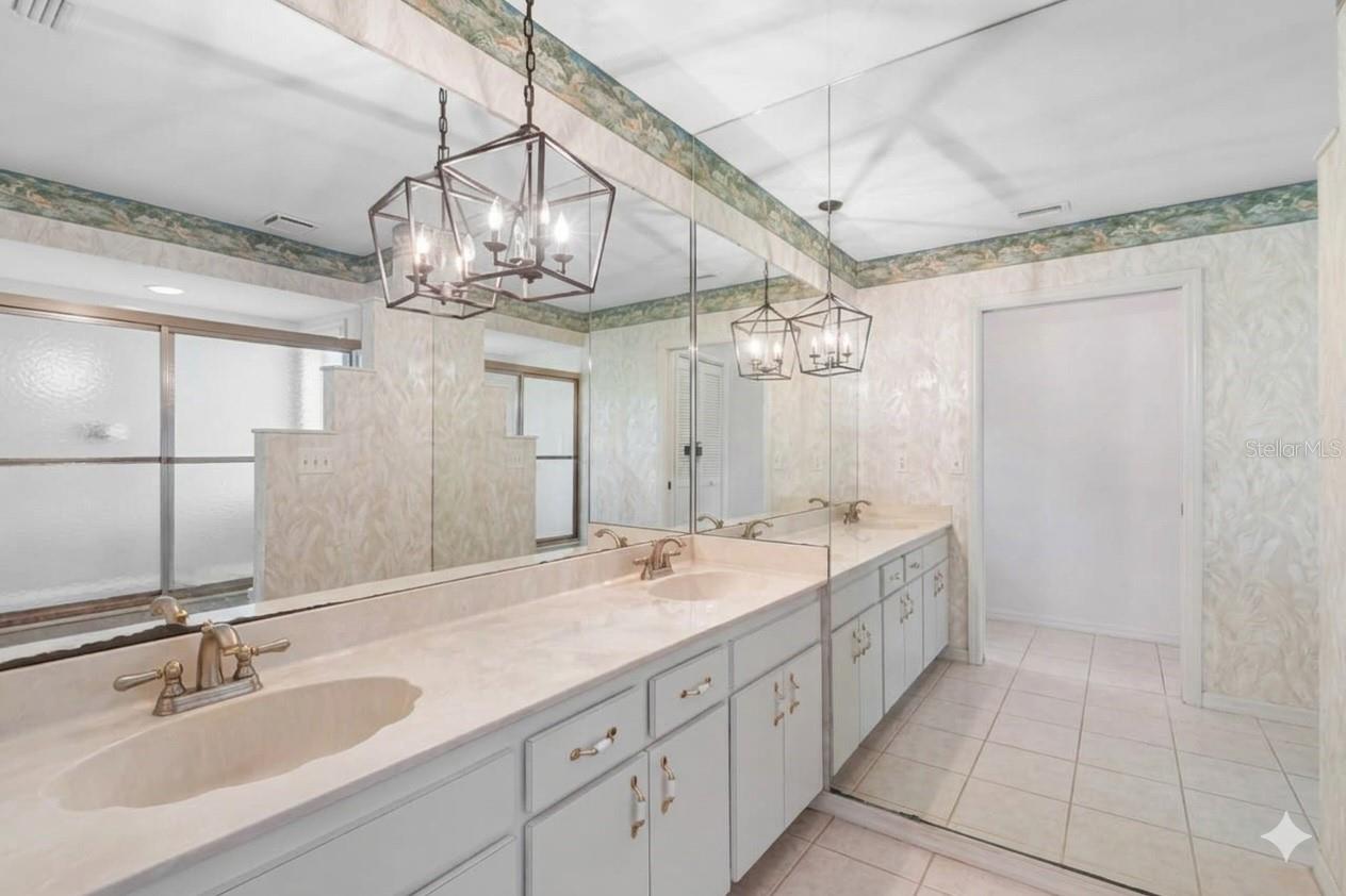 Primary Bathroom Virtually Altered