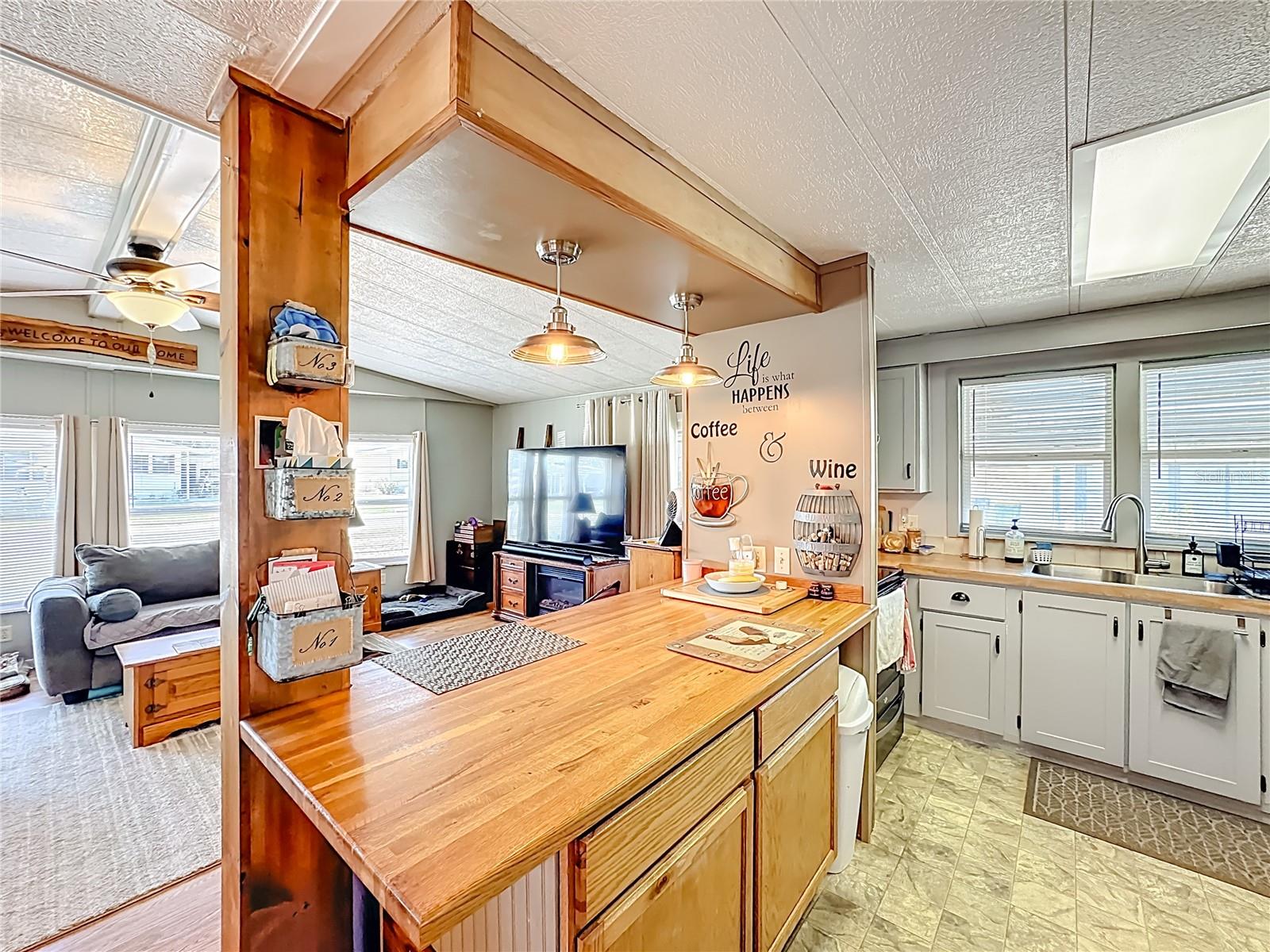 1437 MOHAWK CIR, TAVARES, FL, 32778