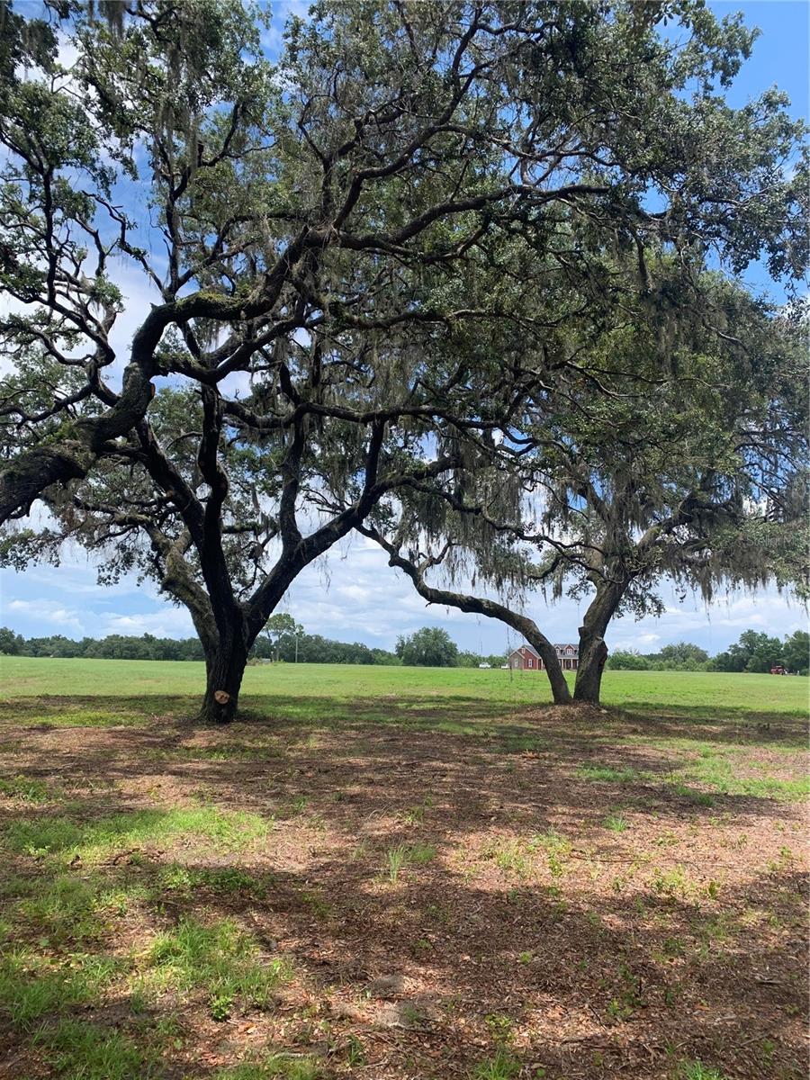 TBD NE 56TH CT, ANTHONY, FL, 32617