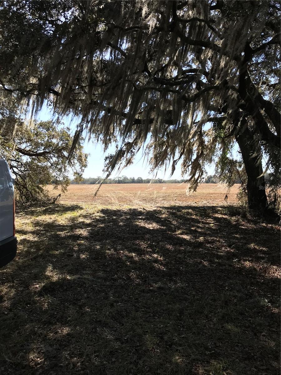 TBD NE 56TH CT, ANTHONY, FL, 32617