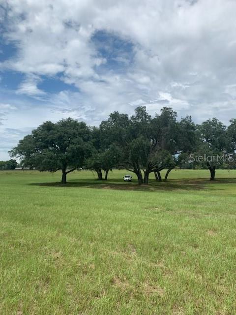 TBD NE 56TH CT, ANTHONY, FL, 32617