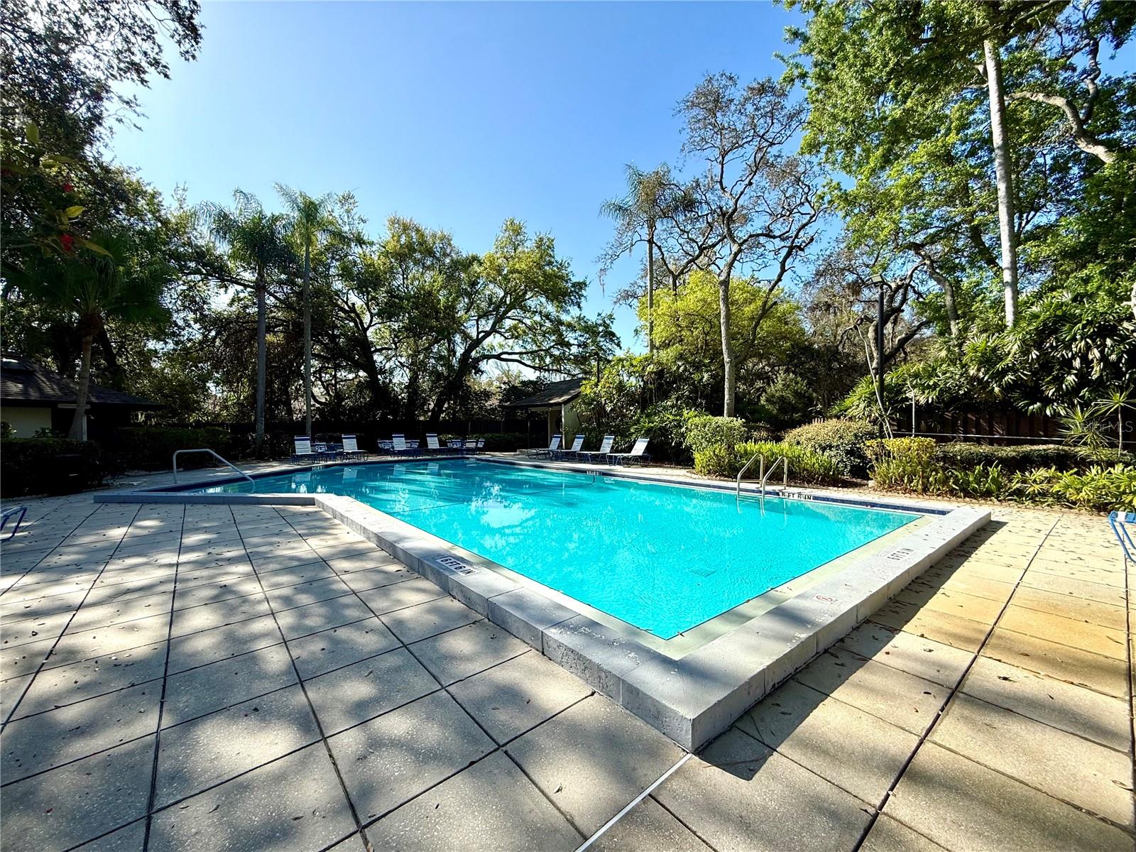 4047 ARROWWOOD CT, PALM HARBOR, FL, 34684