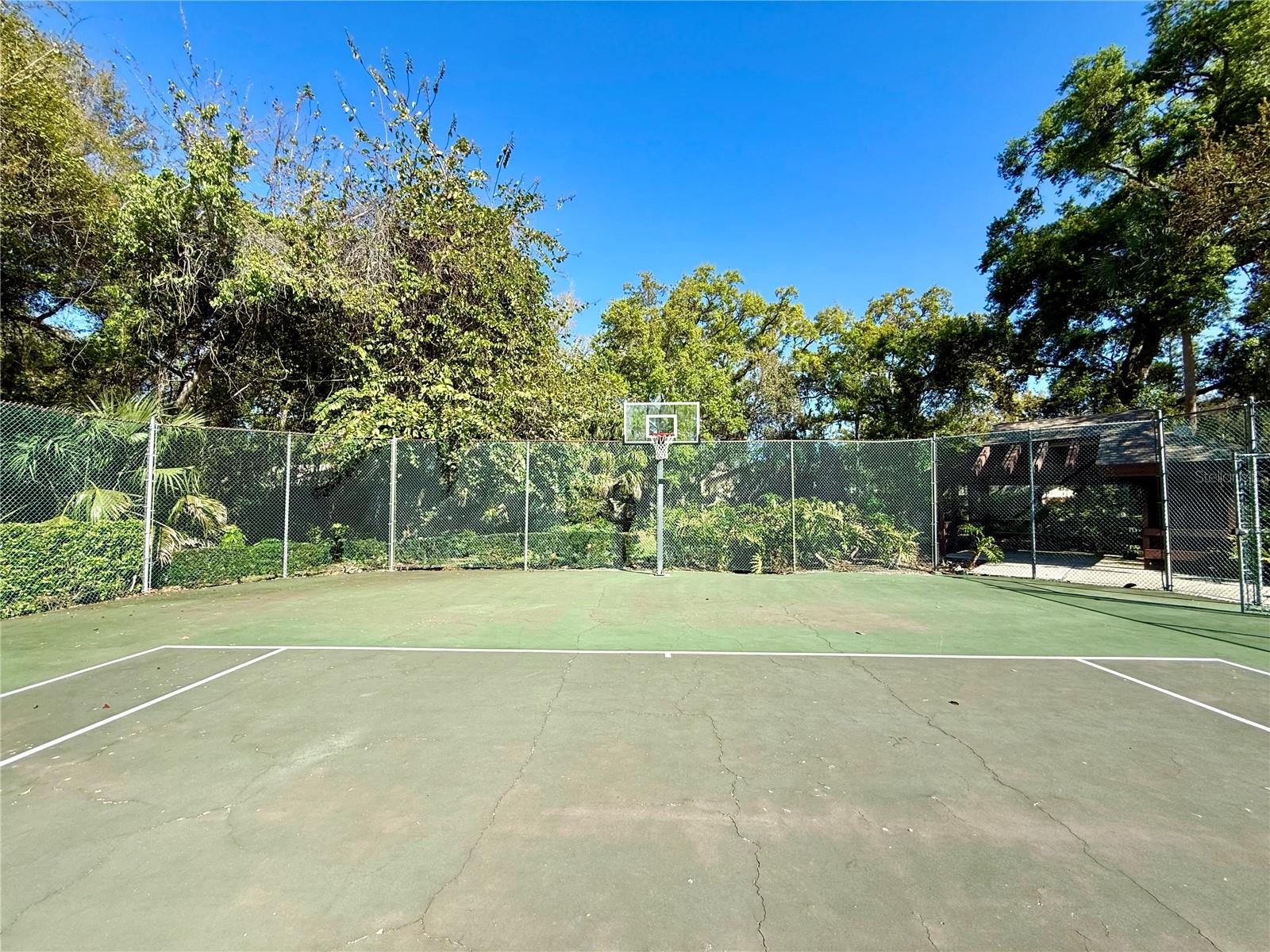 4047 ARROWWOOD CT, PALM HARBOR, FL, 34684