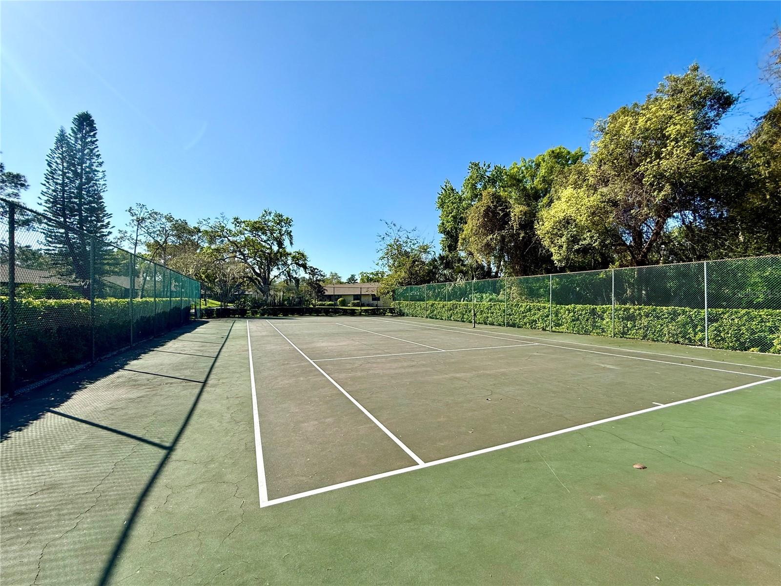 4047 ARROWWOOD CT, PALM HARBOR, FL, 34684