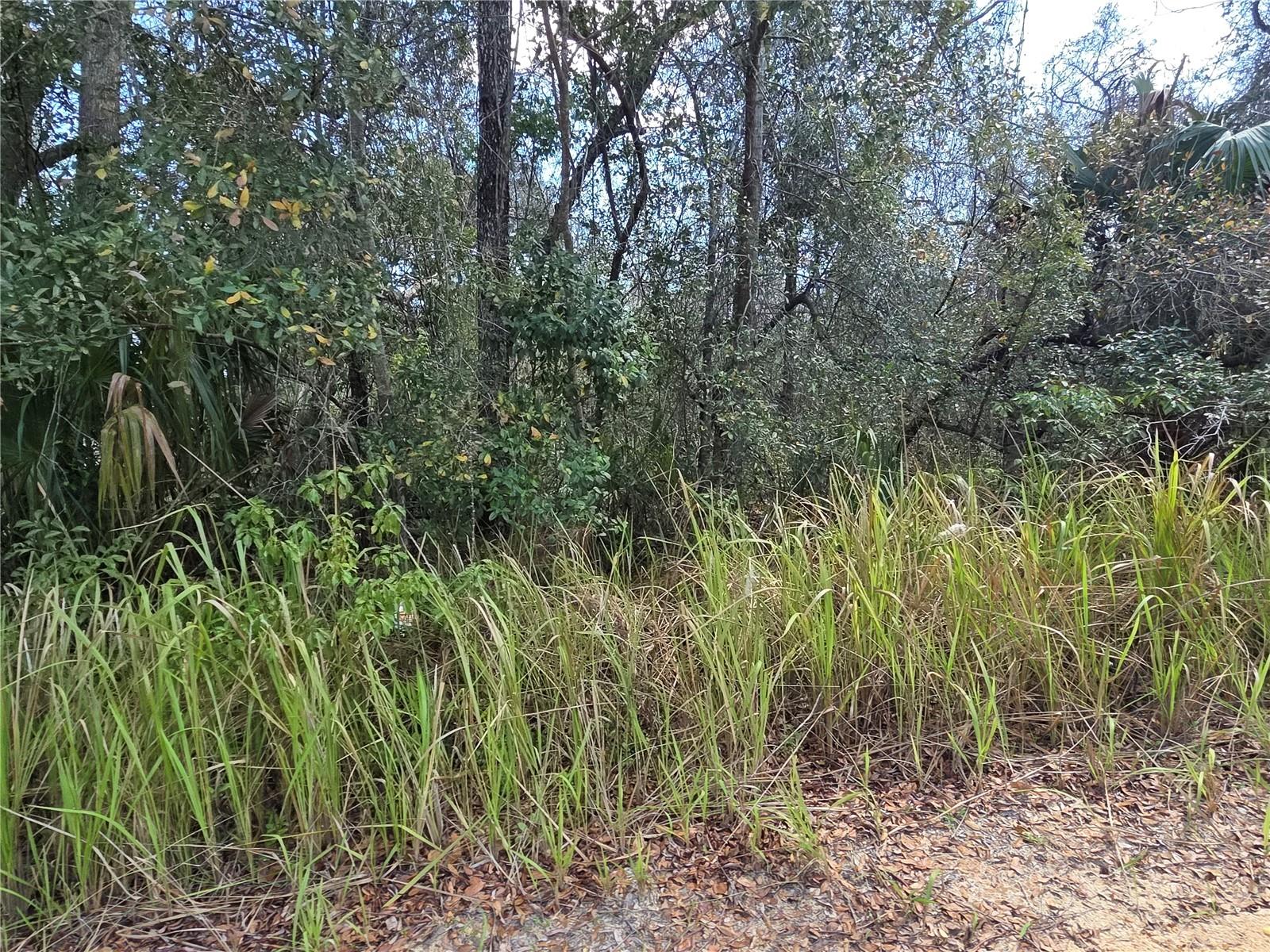 S 7TH ST, DELAND, FL, 32724