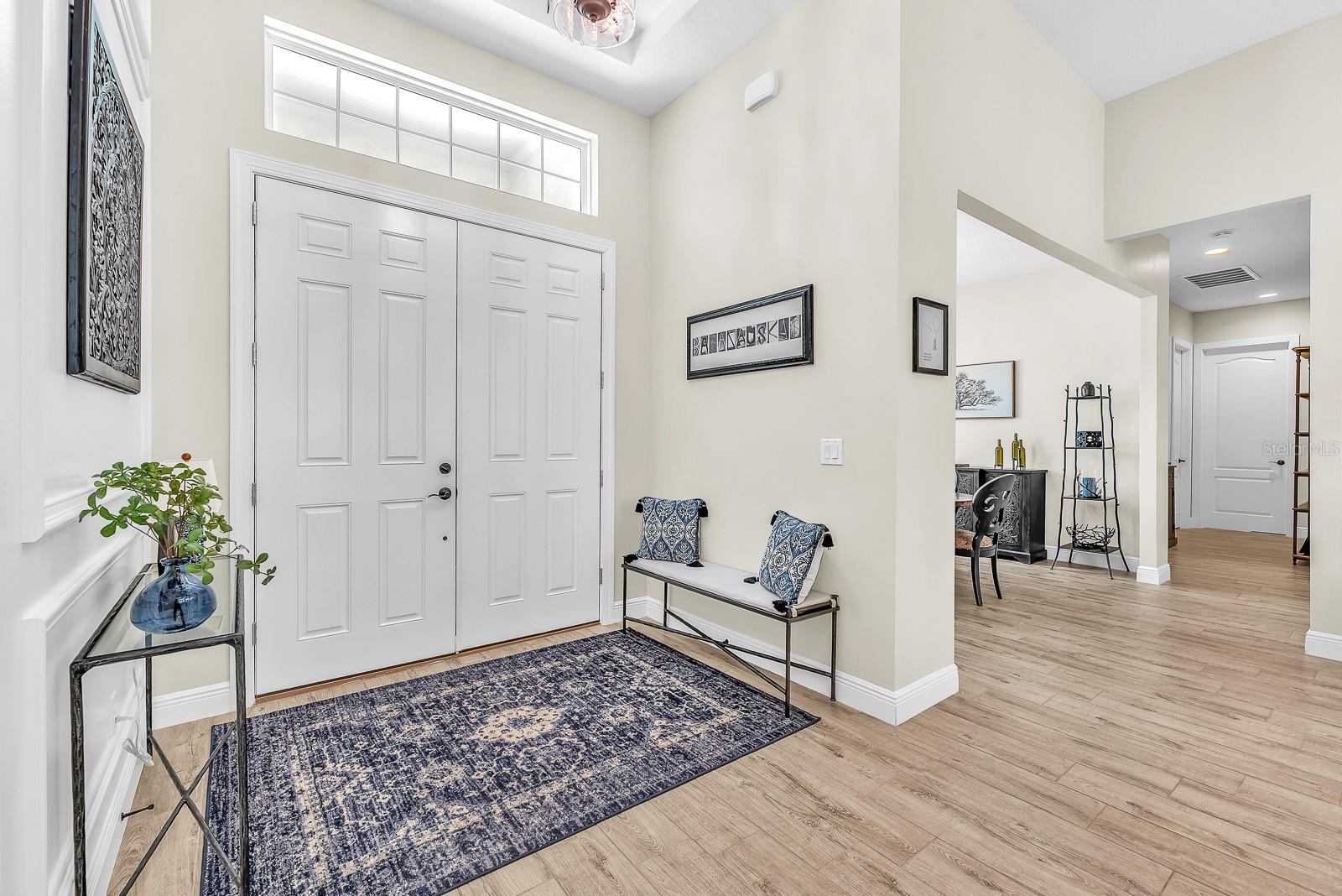 5210 ALAFIA FALLS DR, LITHIA, FL, 33547