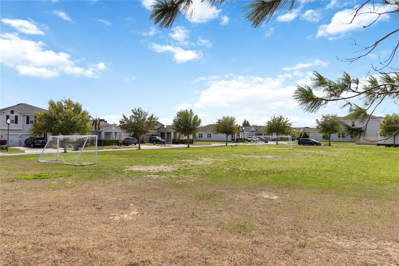 3089 IRISH PEACH DR, WINTER GARDEN, FL, 34787