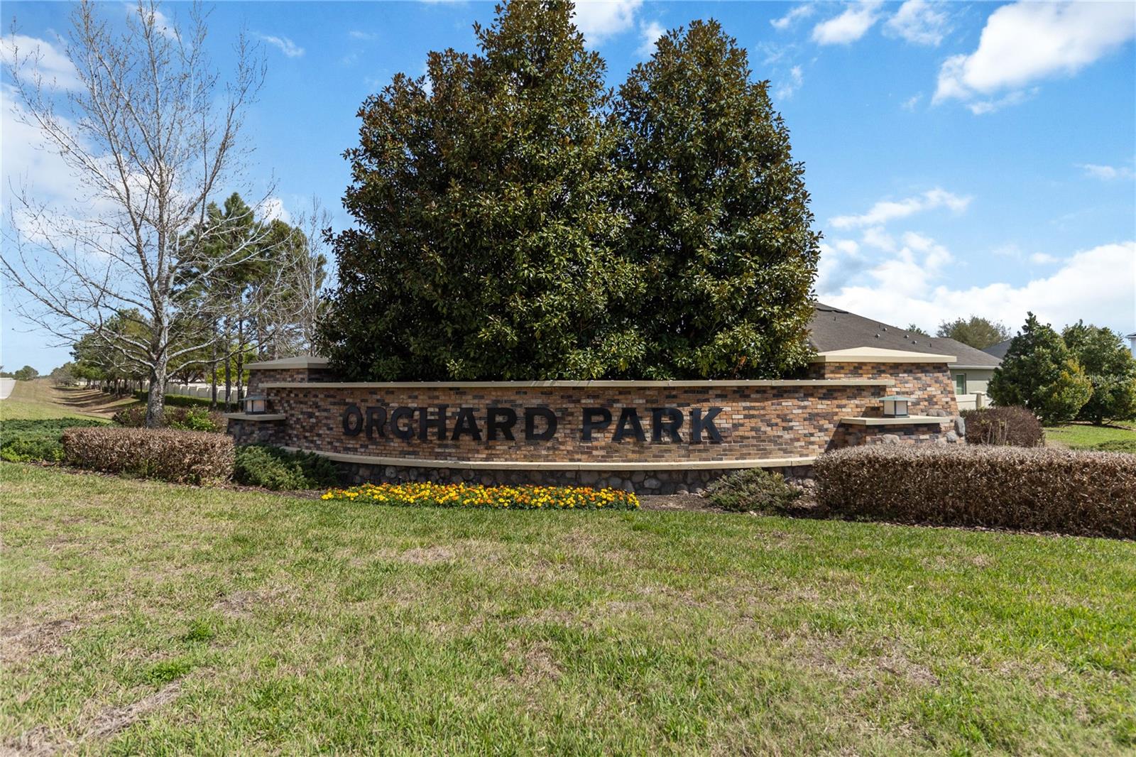 3089 IRISH PEACH DR, WINTER GARDEN, FL, 34787