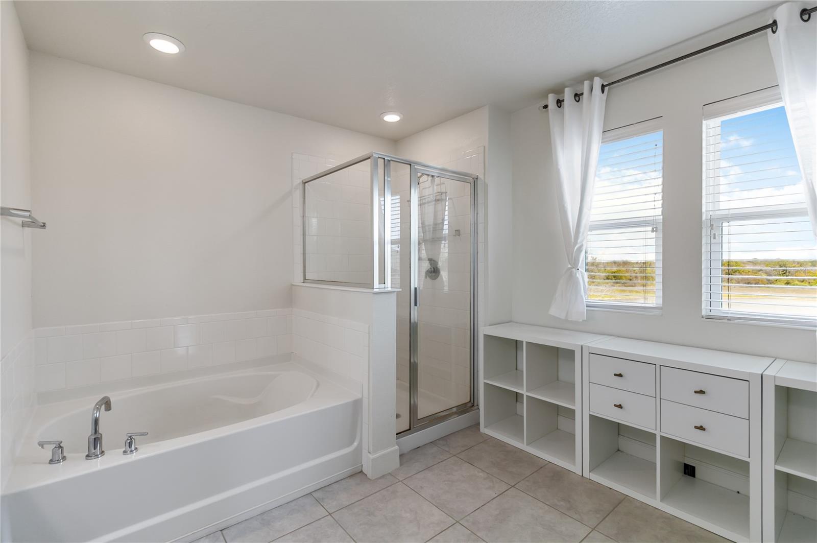 3089 IRISH PEACH DR, WINTER GARDEN, FL, 34787