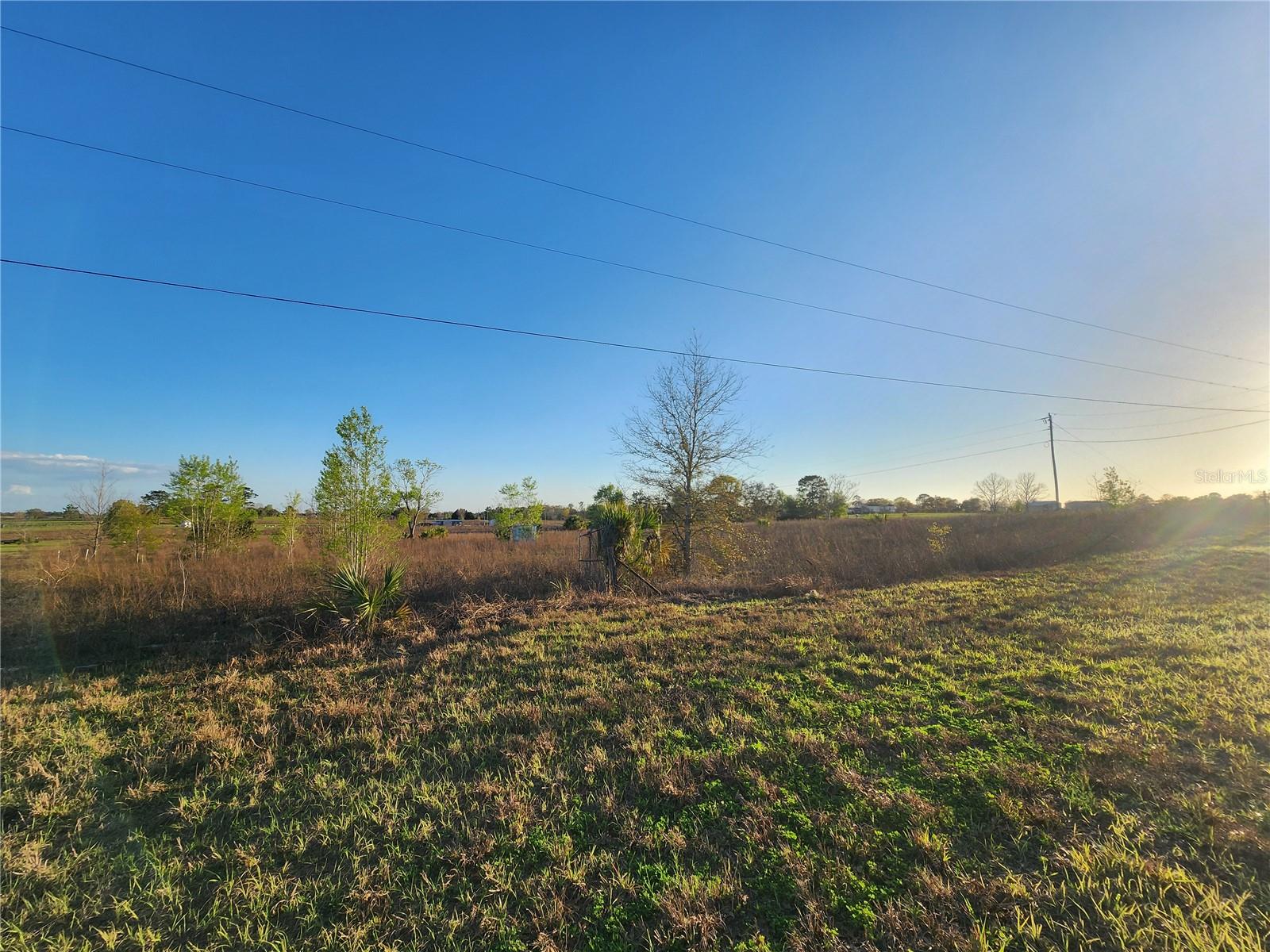11790 NE 30TH ST, BRONSON, FL, 32621