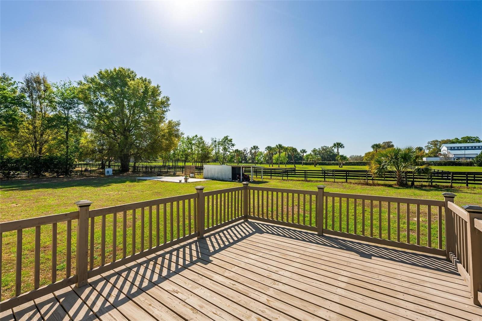 5353 NE 136TH PL, OXFORD, FL, 34484