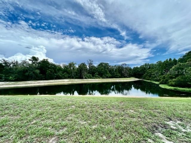 11051 BELLE HAVEN DR, NEW PORT RICHEY, FL, 34654