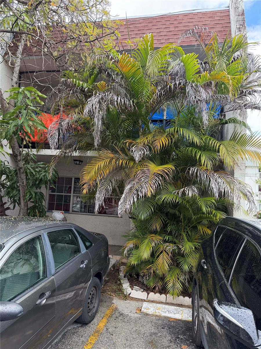 15165 NE 6TH AVE, MIAMI, FL, 33162