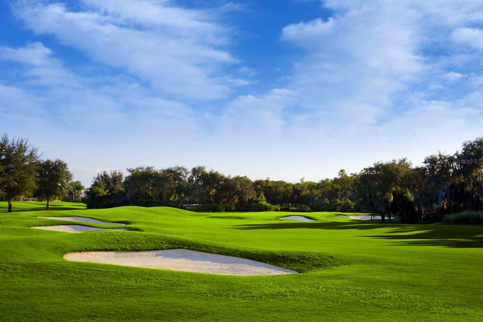 1435 EMERALD DUNES DR, SUN CITY CENTER, FL, 33573