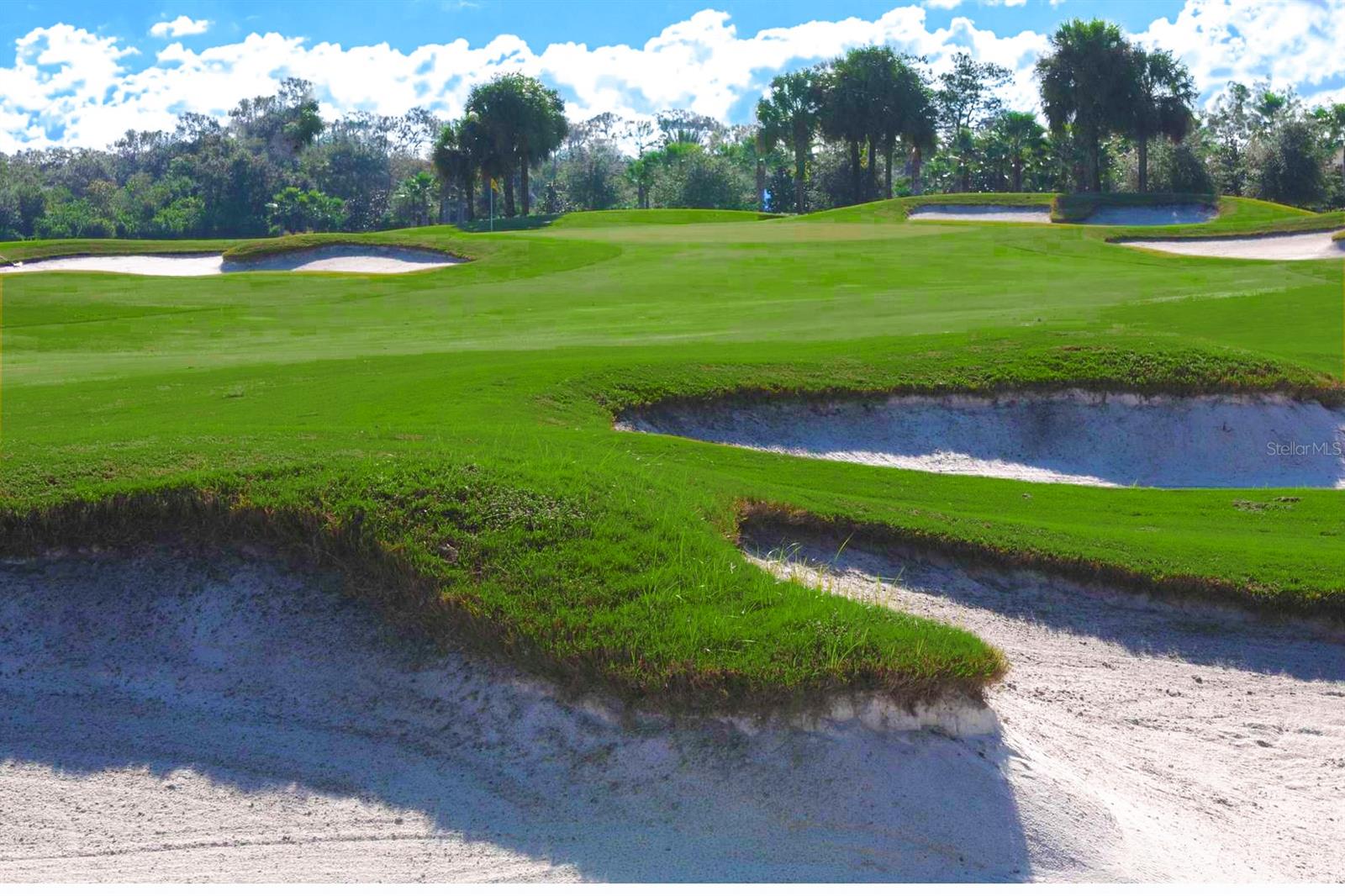 1435 EMERALD DUNES DR, SUN CITY CENTER, FL, 33573