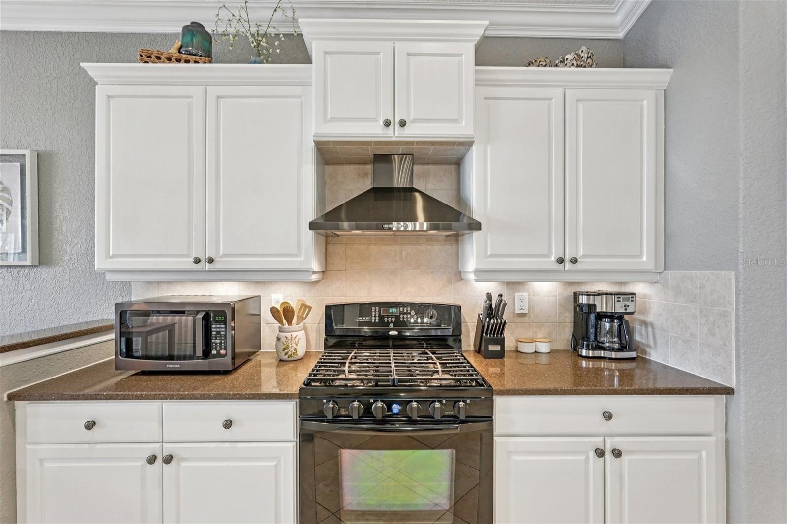 1435 EMERALD DUNES DR, SUN CITY CENTER, FL, 33573