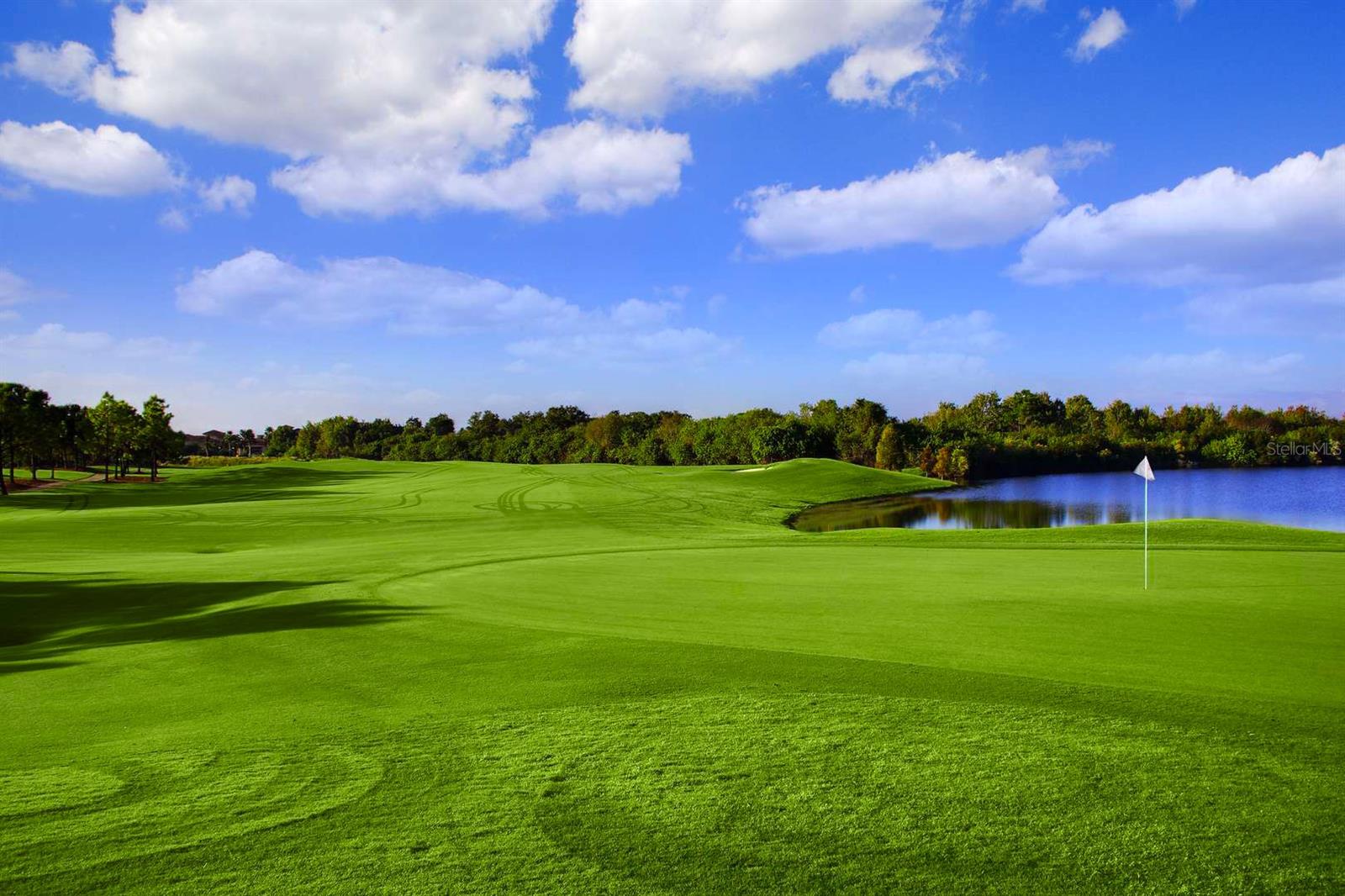 1435 EMERALD DUNES DR, SUN CITY CENTER, FL, 33573
