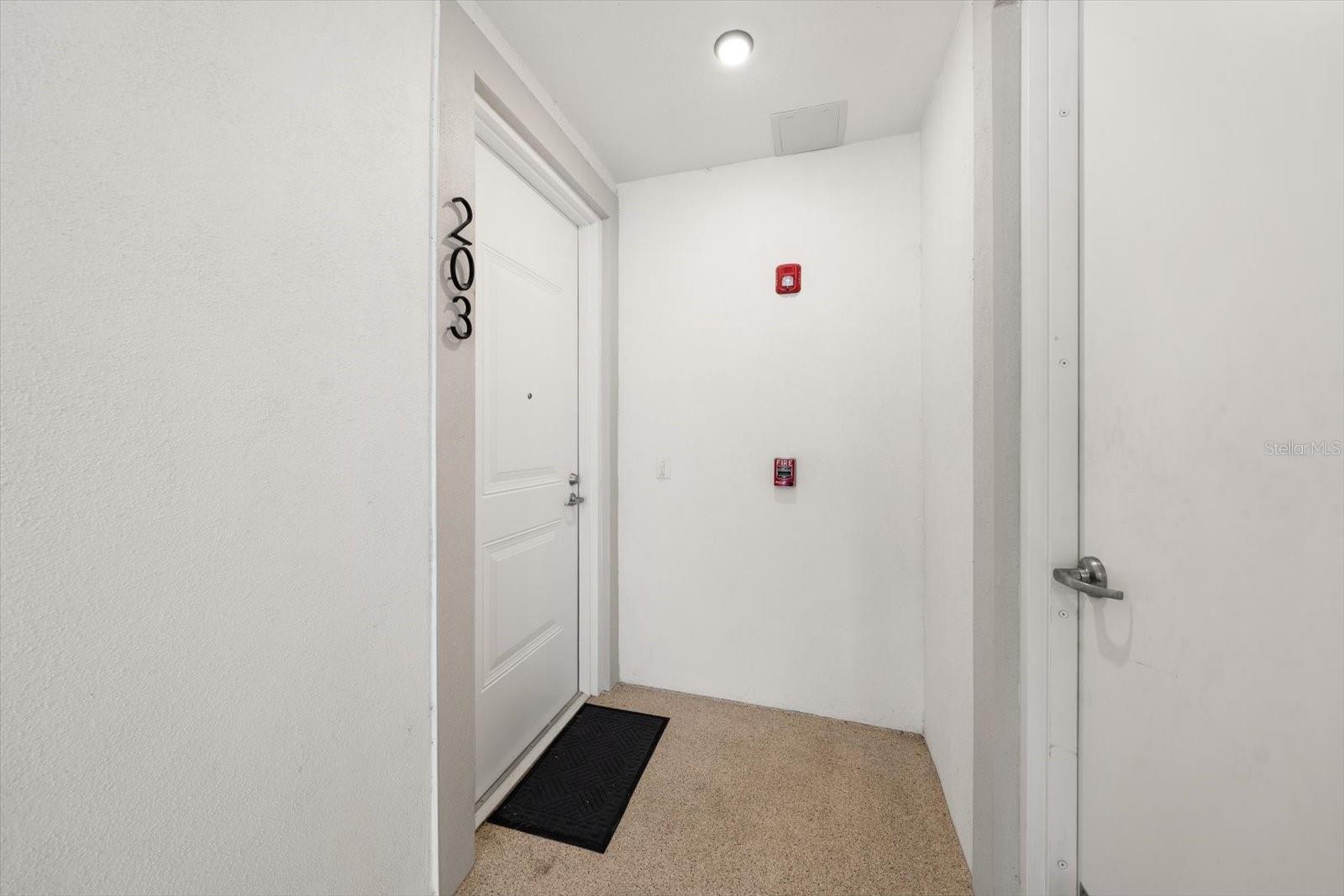 211 DOLPHIN PT #203, CLEARWATER, FL, 33767