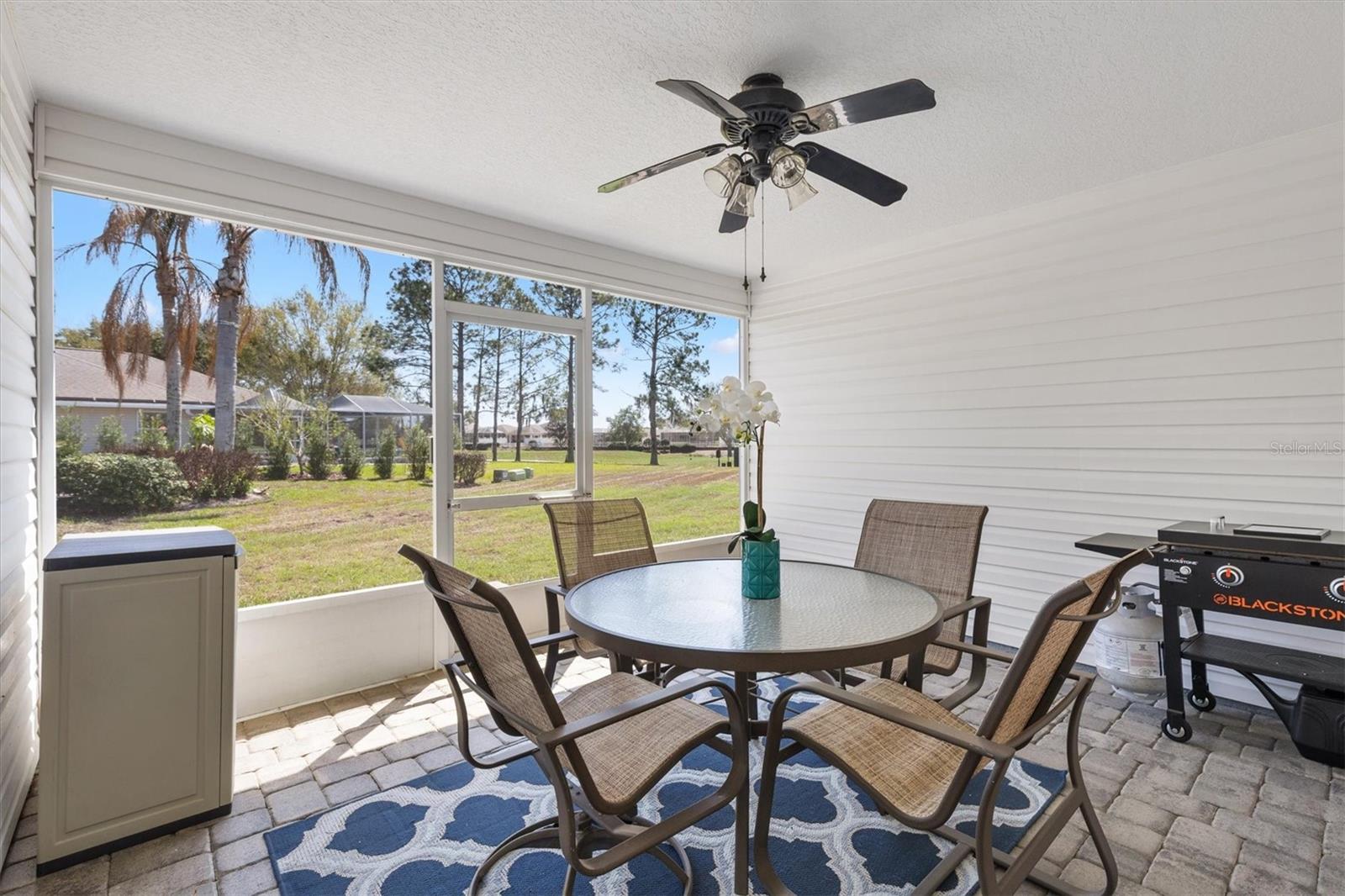 17967 SE 87TH MELROSE CT, THE VILLAGES, FL, 32162