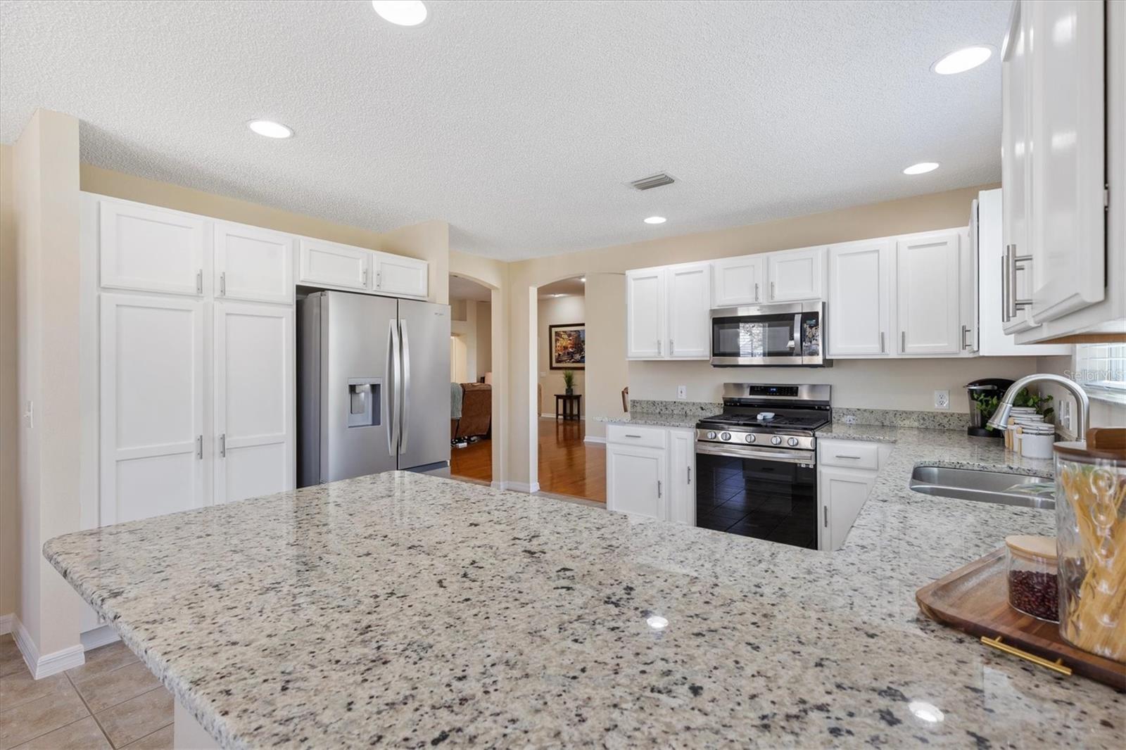 17967 SE 87TH MELROSE CT, THE VILLAGES, FL, 32162