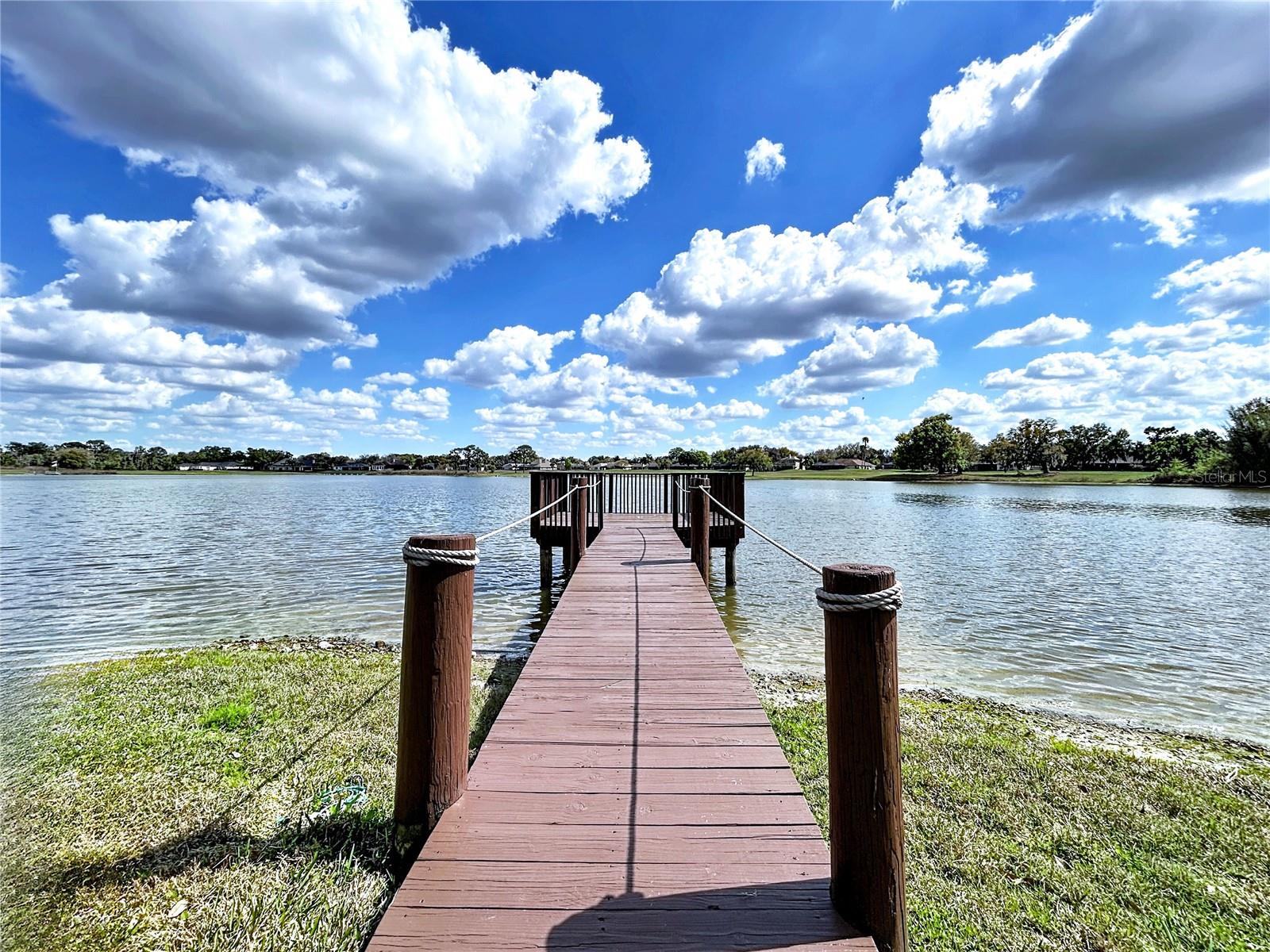 2881 HAMMOCK DR, PLANT CITY, FL, 33566