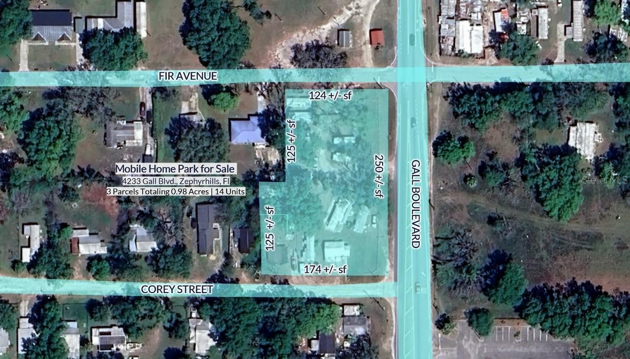 4233 GALL BLVD, ZEPHYRHILLS, FL, 33542