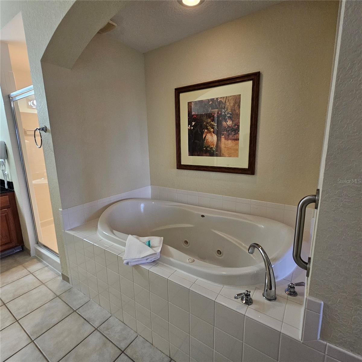 8101 RESORT VILLAGE DR #31406, ORLANDO, FL, 32821