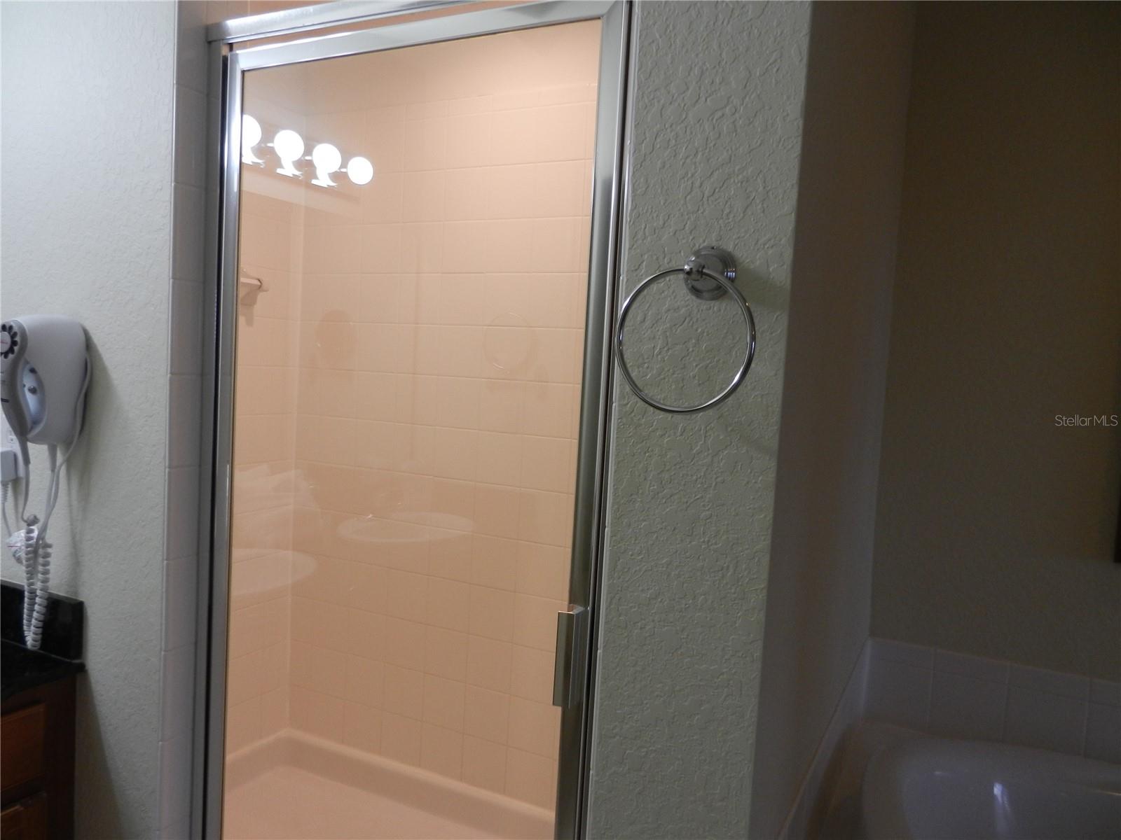 8101 RESORT VILLAGE DR #31406, ORLANDO, FL, 32821