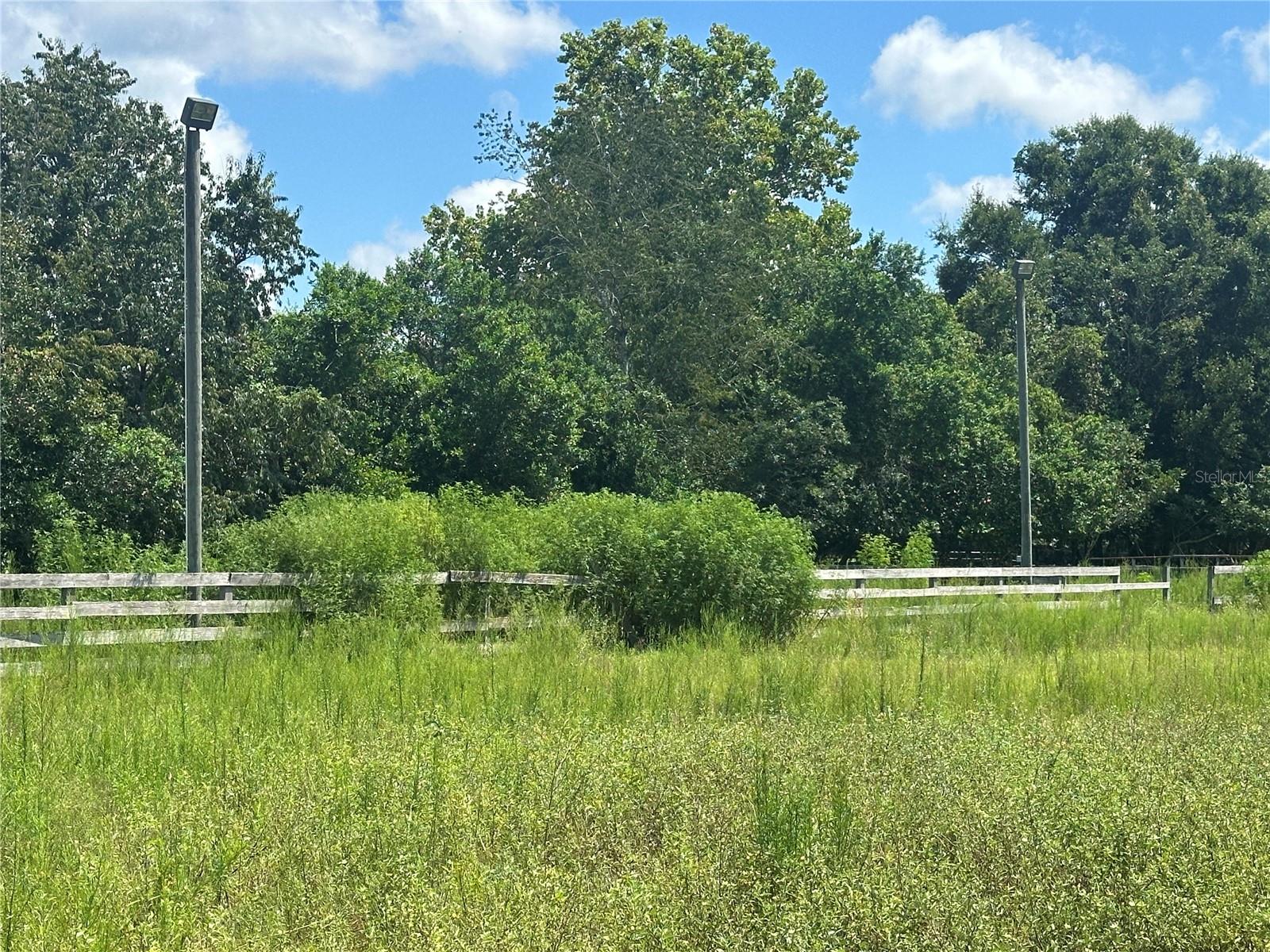 10553 NE 36TH AVE, ANTHONY, FL, 32617