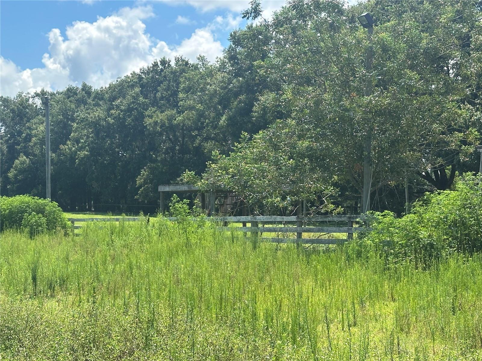 10553 NE 36TH AVE, ANTHONY, FL, 32617