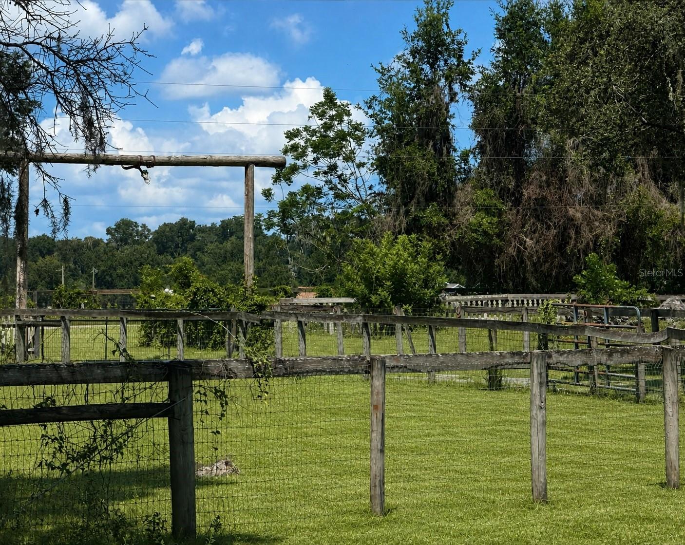 10553 NE 36TH AVE, ANTHONY, FL, 32617