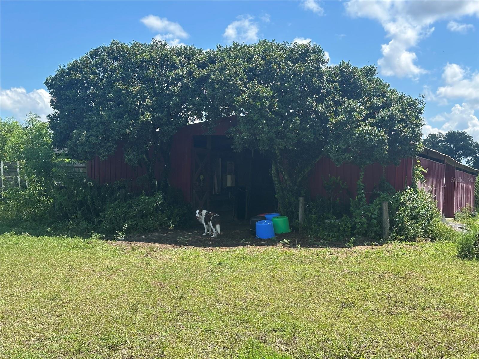 10553 NE 36TH AVE, ANTHONY, FL, 32617