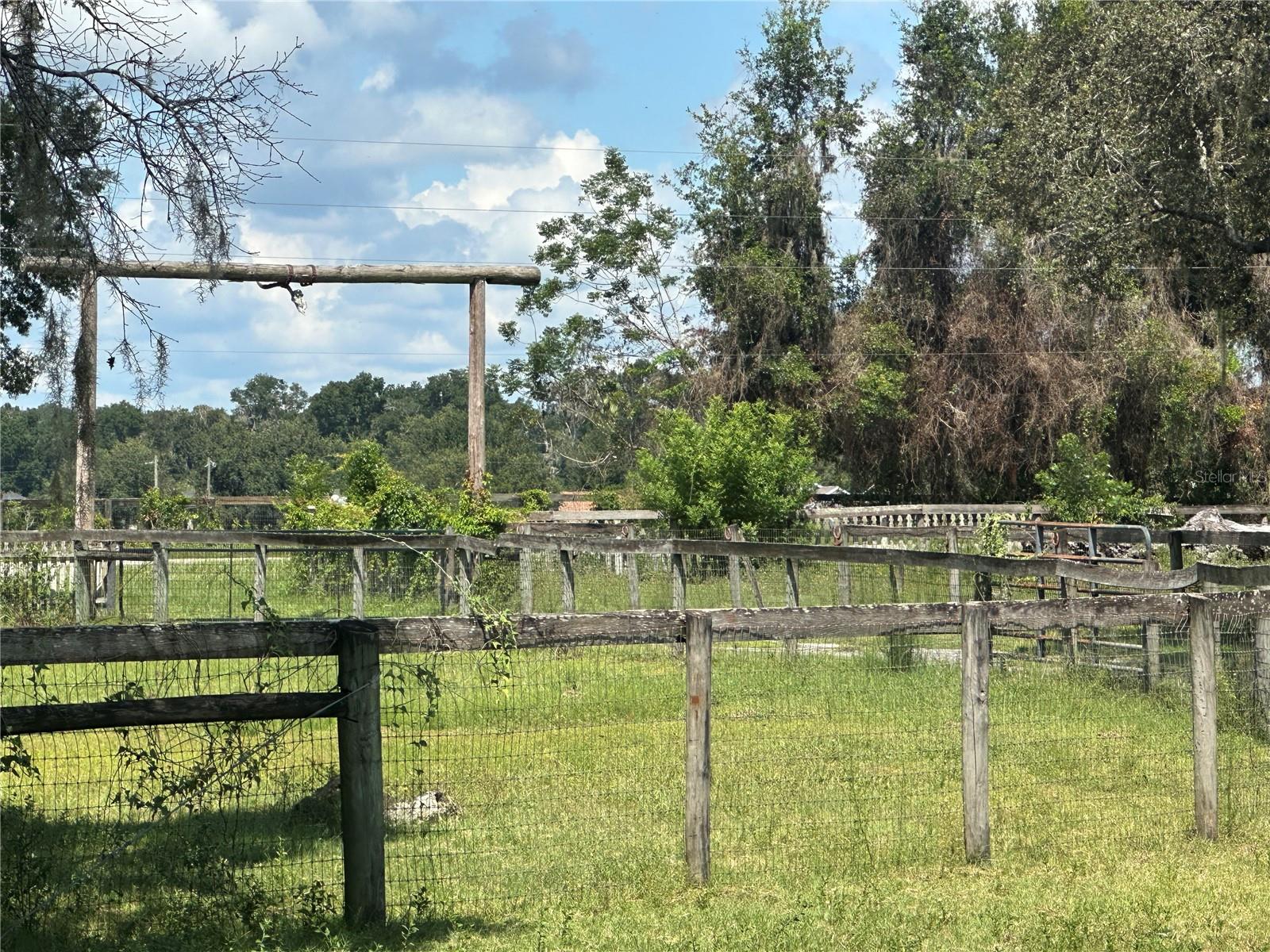10553 NE 36TH AVE, ANTHONY, FL, 32617