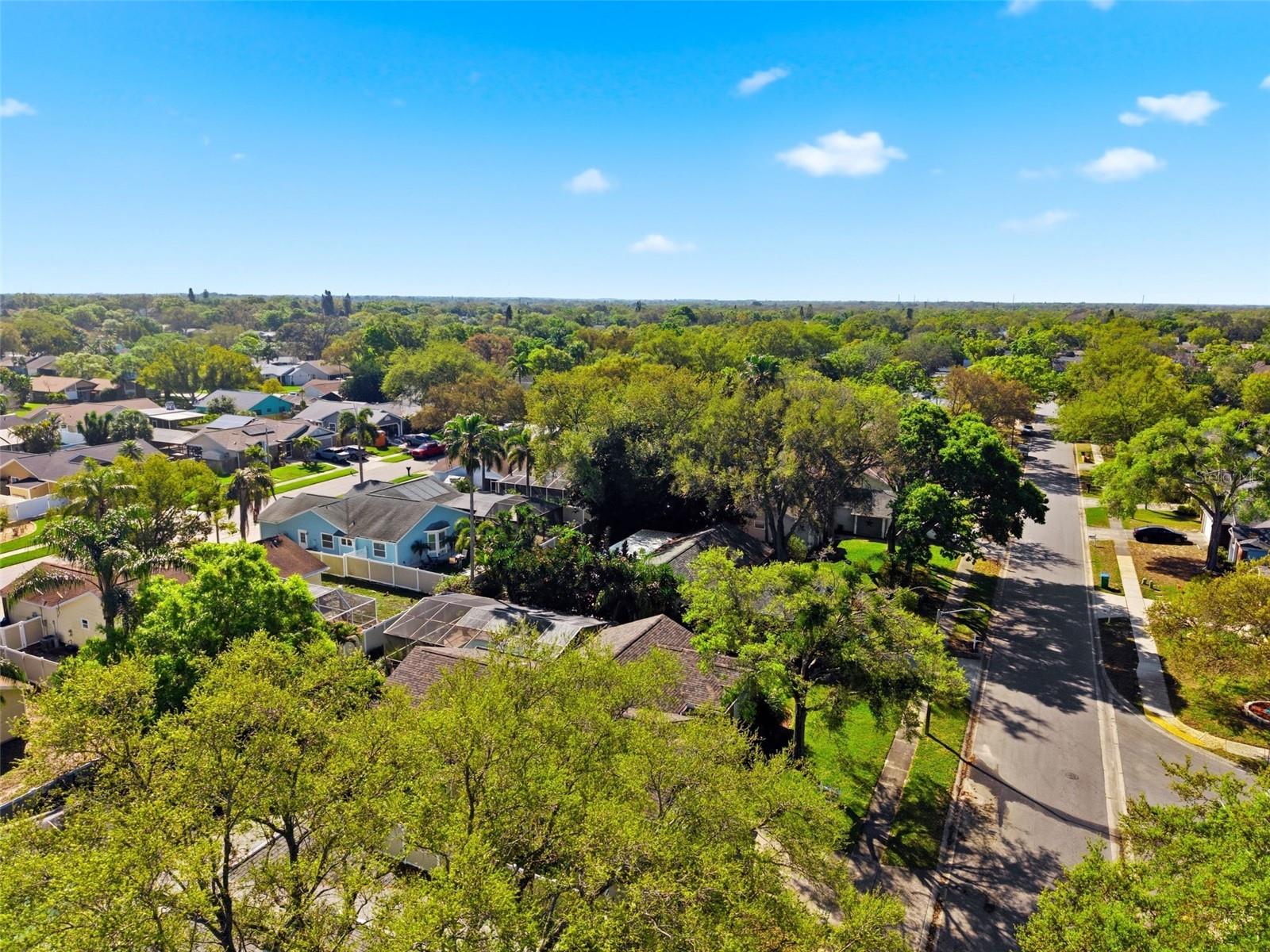 212 OVERSTREET CT, PALM HARBOR, FL, 34683