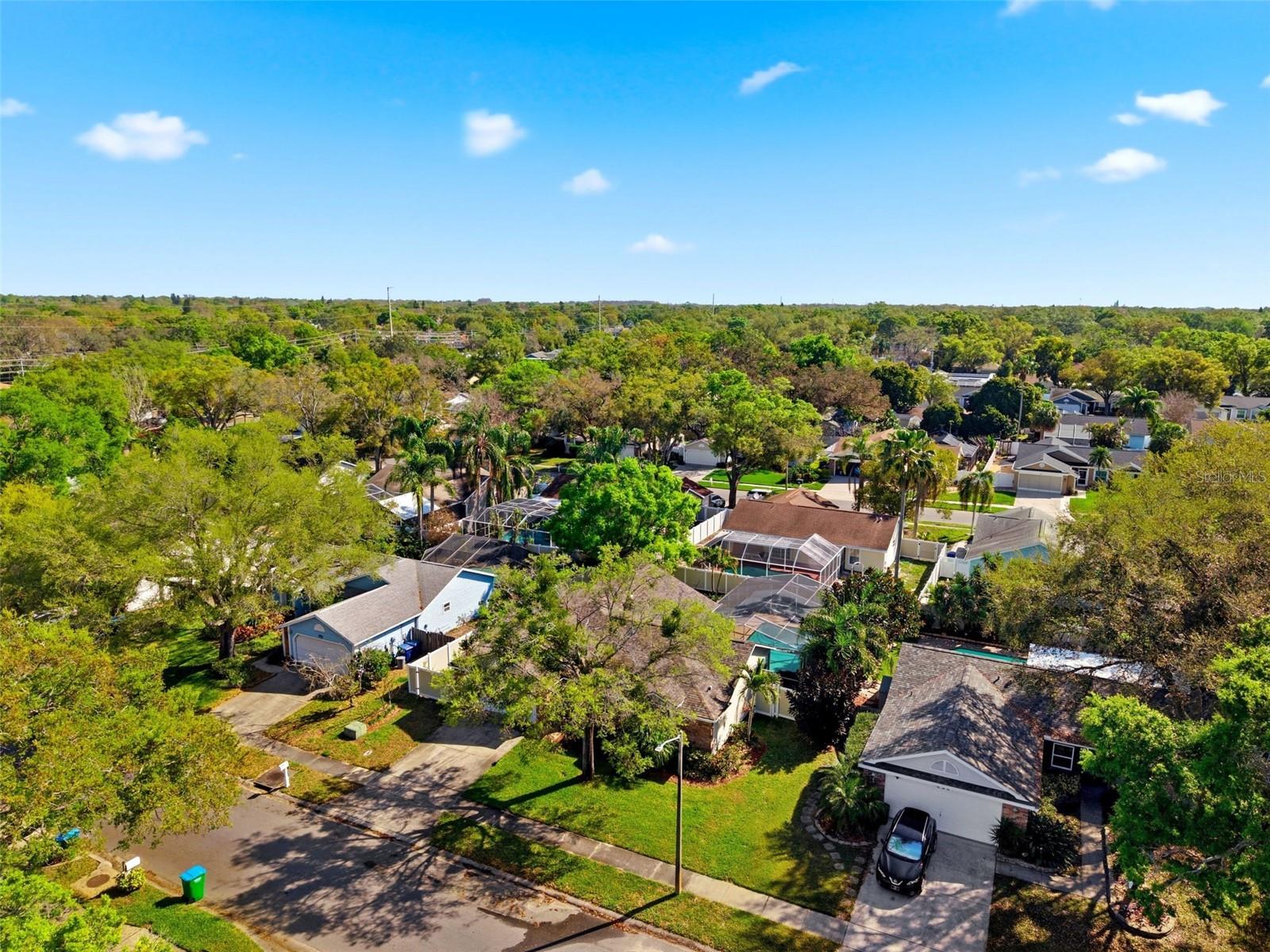 212 OVERSTREET CT, PALM HARBOR, FL, 34683