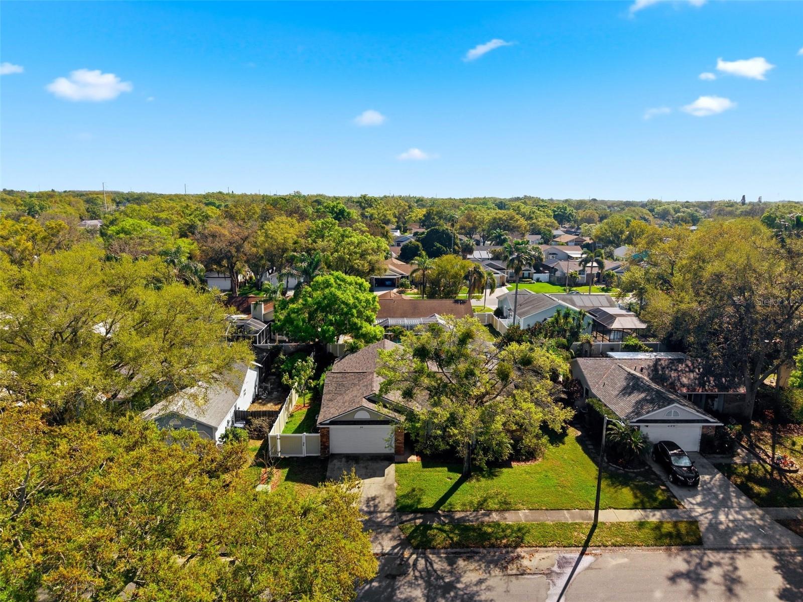212 OVERSTREET CT, PALM HARBOR, FL, 34683