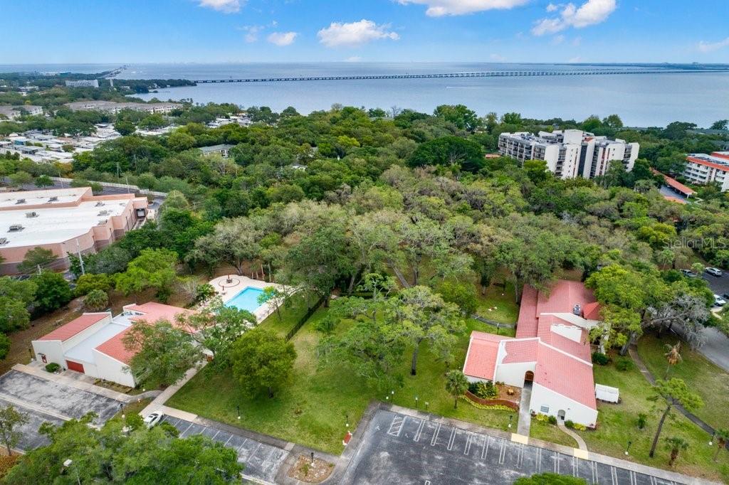 1001 PEARCE DR #302, CLEARWATER, FL, 33764