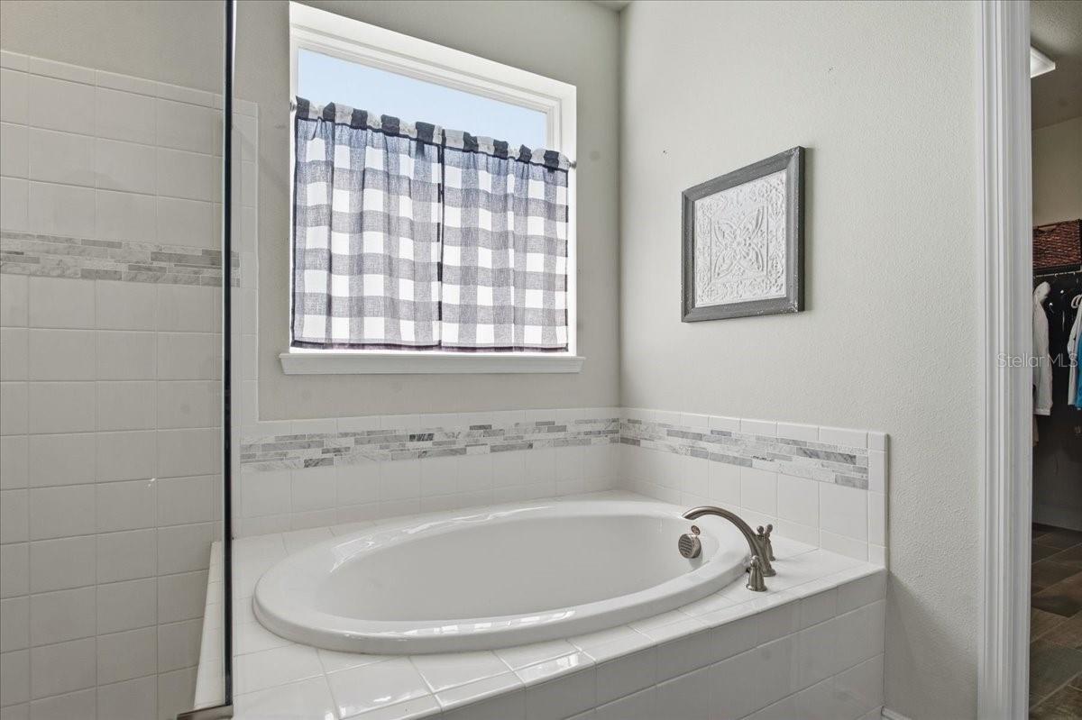 13326 PALMERA VISTA DR, RIVERVIEW, FL, 33579