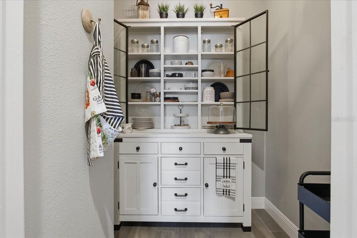 13326 PALMERA VISTA DR, RIVERVIEW, FL, 33579