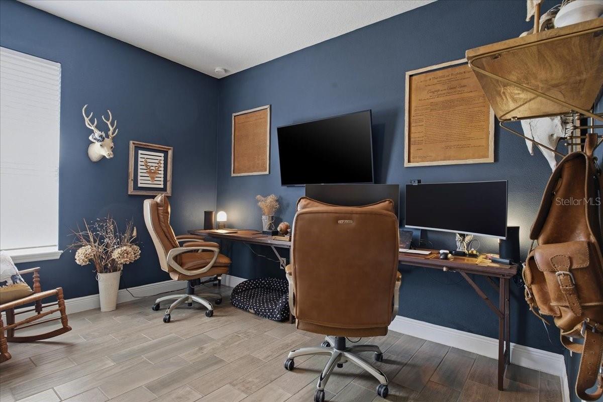 13326 PALMERA VISTA DR, RIVERVIEW, FL, 33579