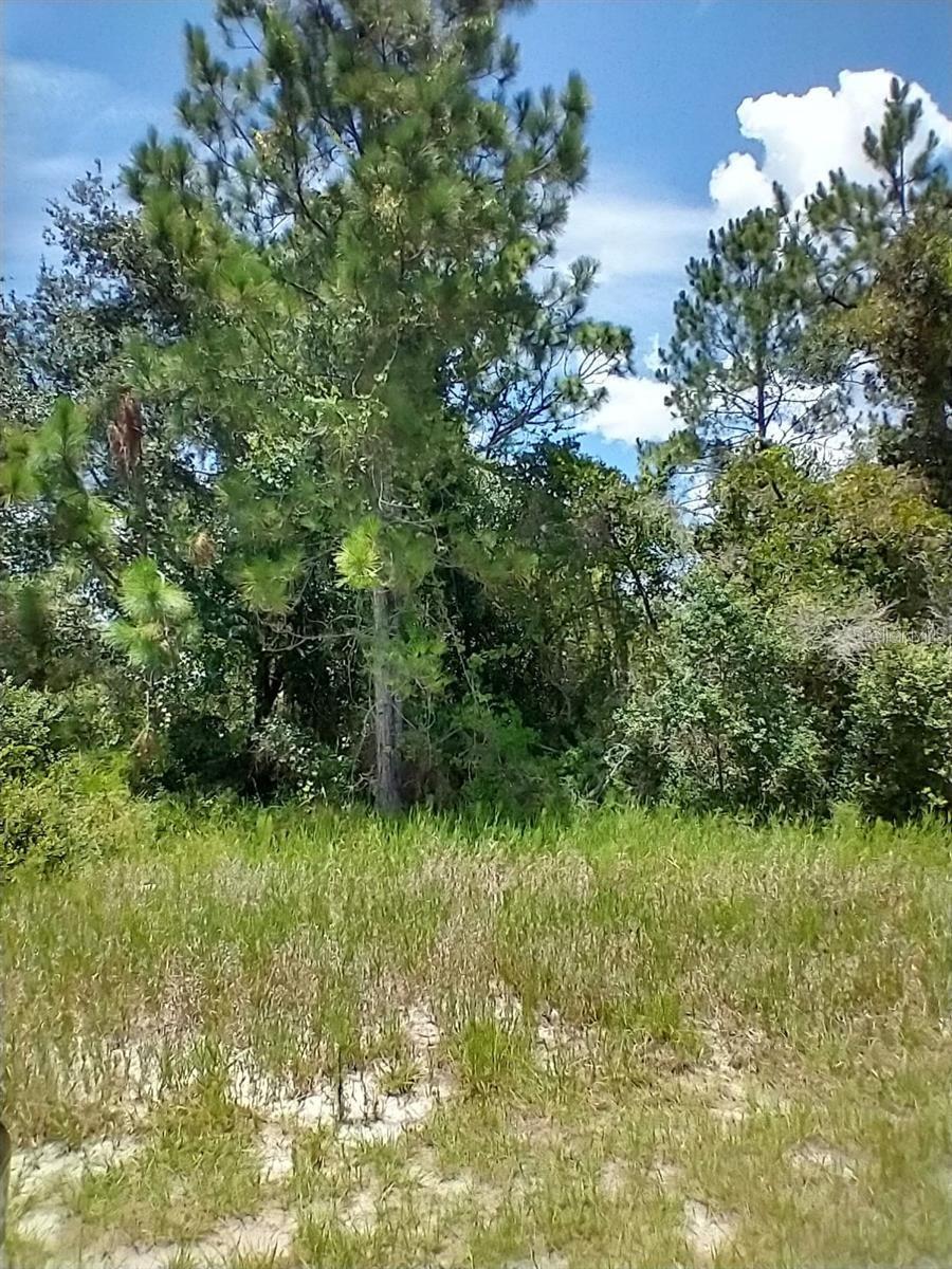 1322 TALLAHASSEE CT, KISSIMMEE, FL, 34759