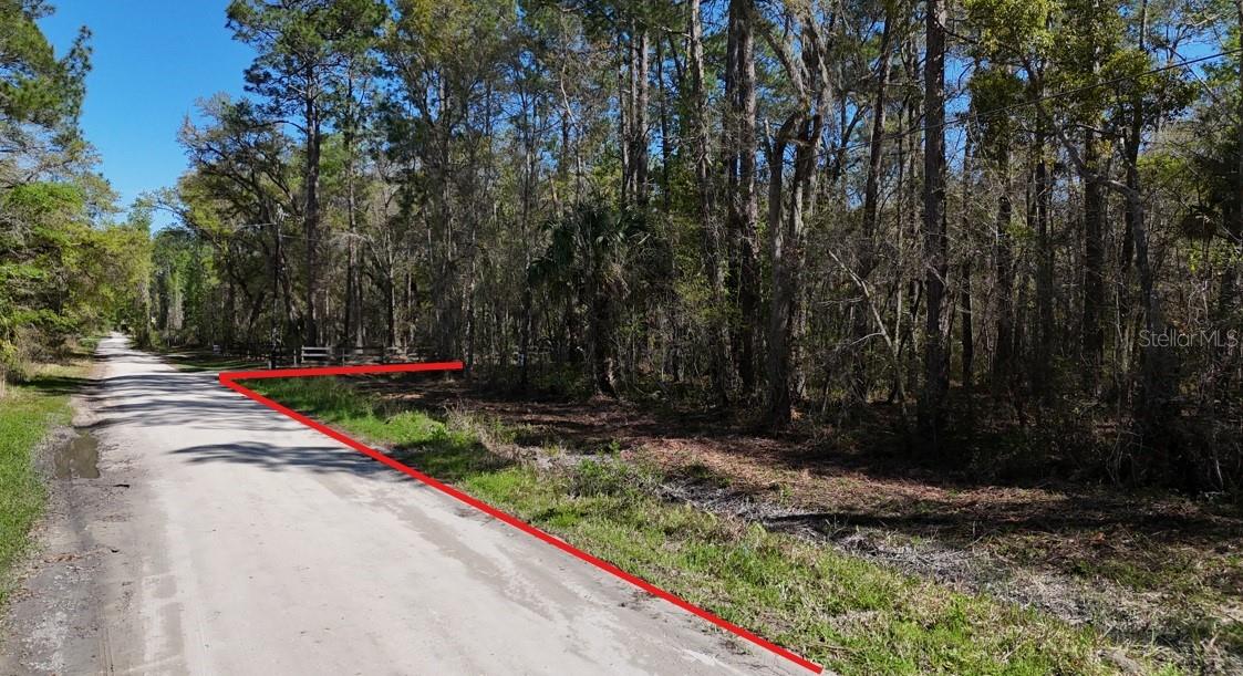 TBD NE 137TH PL, CITRA, FL, 32113