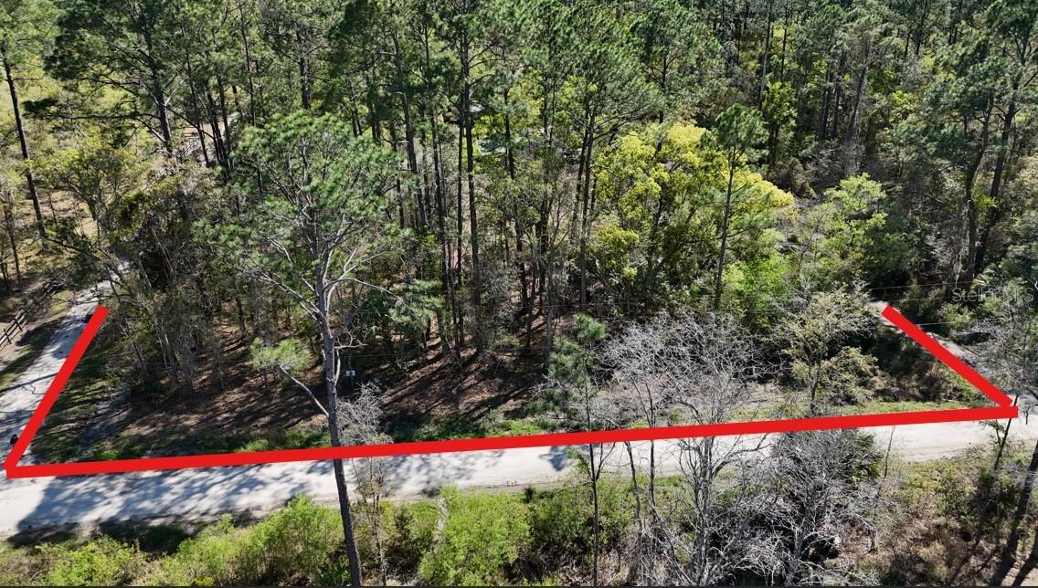 TBD NE 137TH PL, CITRA, FL, 32113