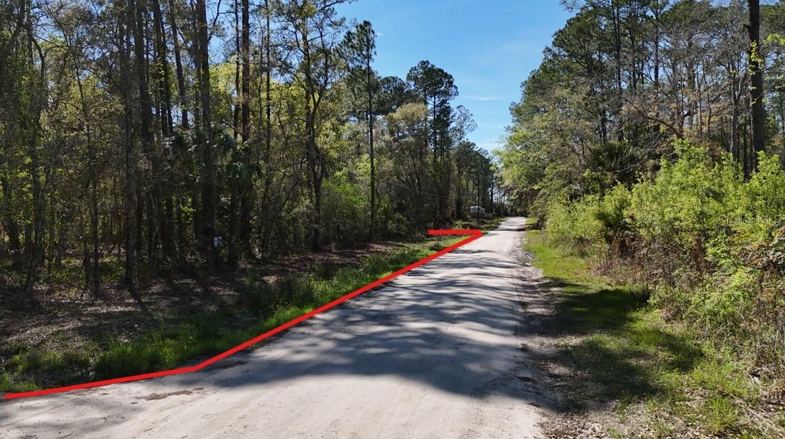 TBD NE 137TH PL, CITRA, FL, 32113